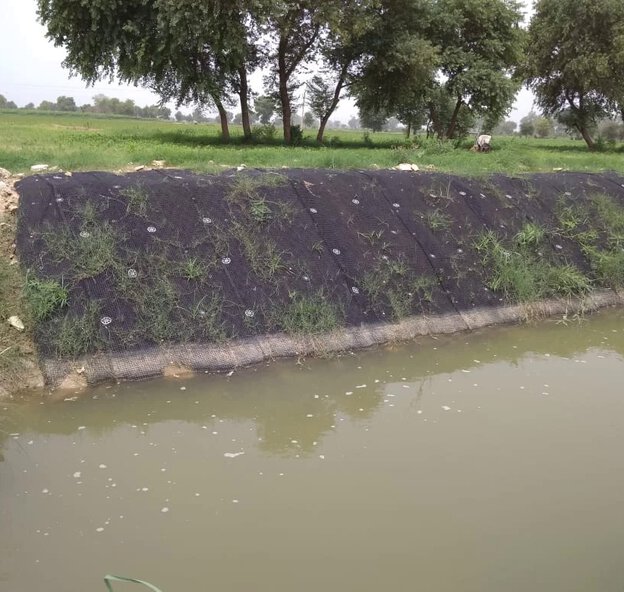 Beri-Dujana Drain Canal, Jhajjar