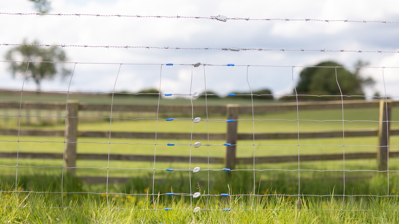 28/05/25 Lincolnshire - Gripple agricultural fencing shoot