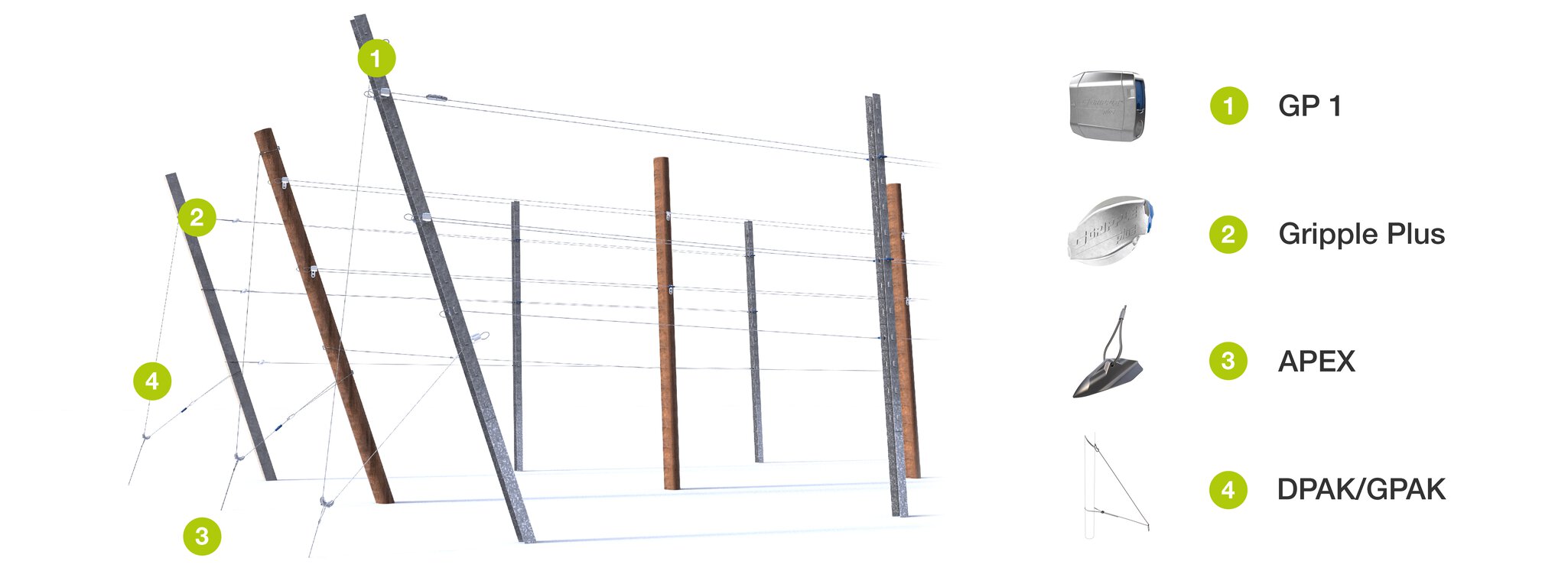 Vineyard Trellising Render Website.png