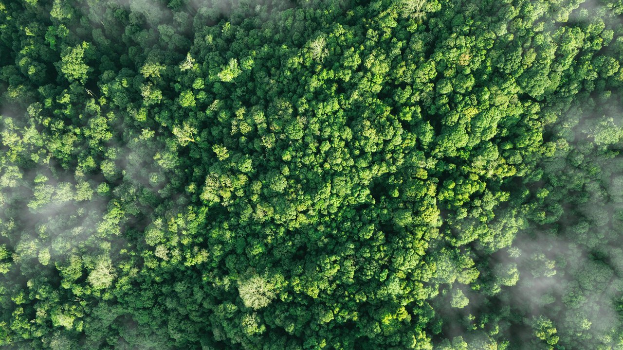 Lower CO₂ 