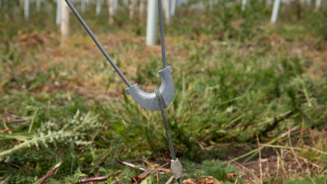 28/05/25 Lincolnshire - Gripple agricultural fencing shoot