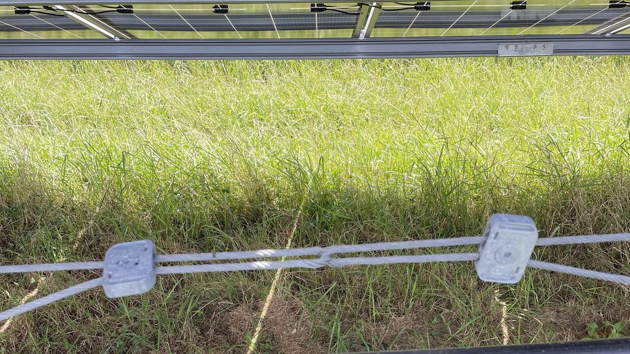 Naumai Solar Farm Northland, New Zealand