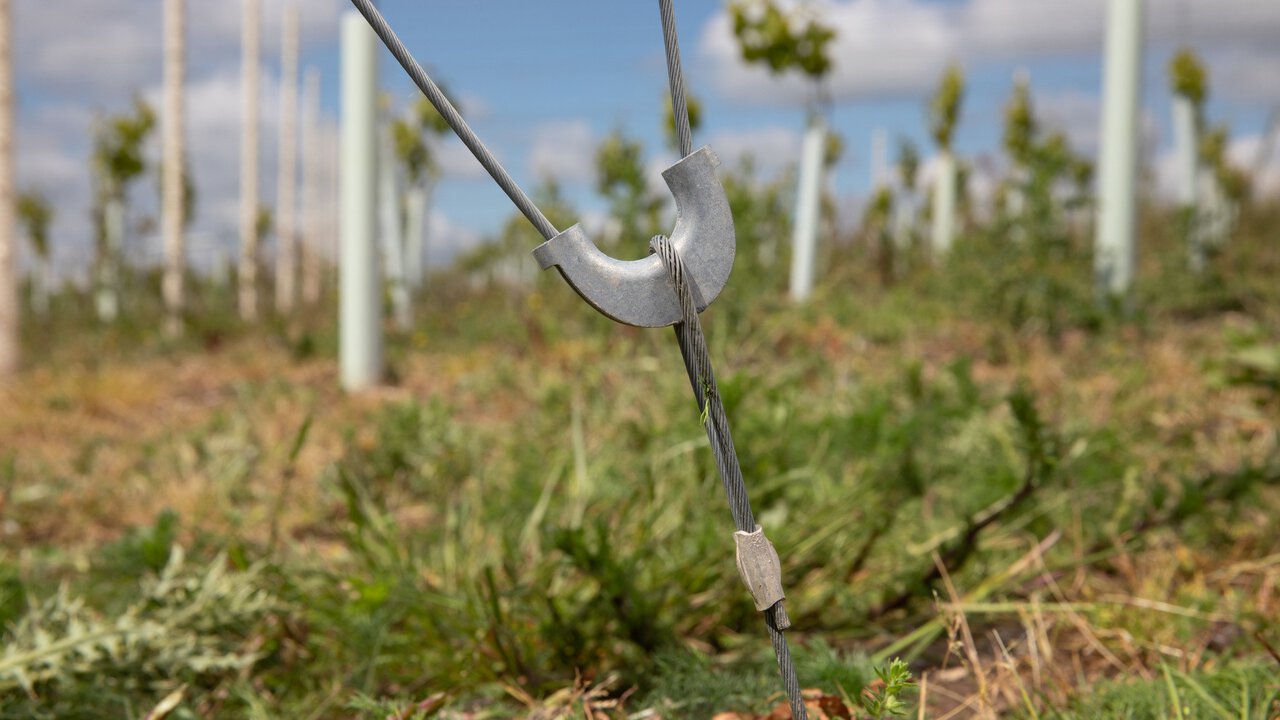 28/05/25 Lincolnshire - Gripple agricultural fencing shoot