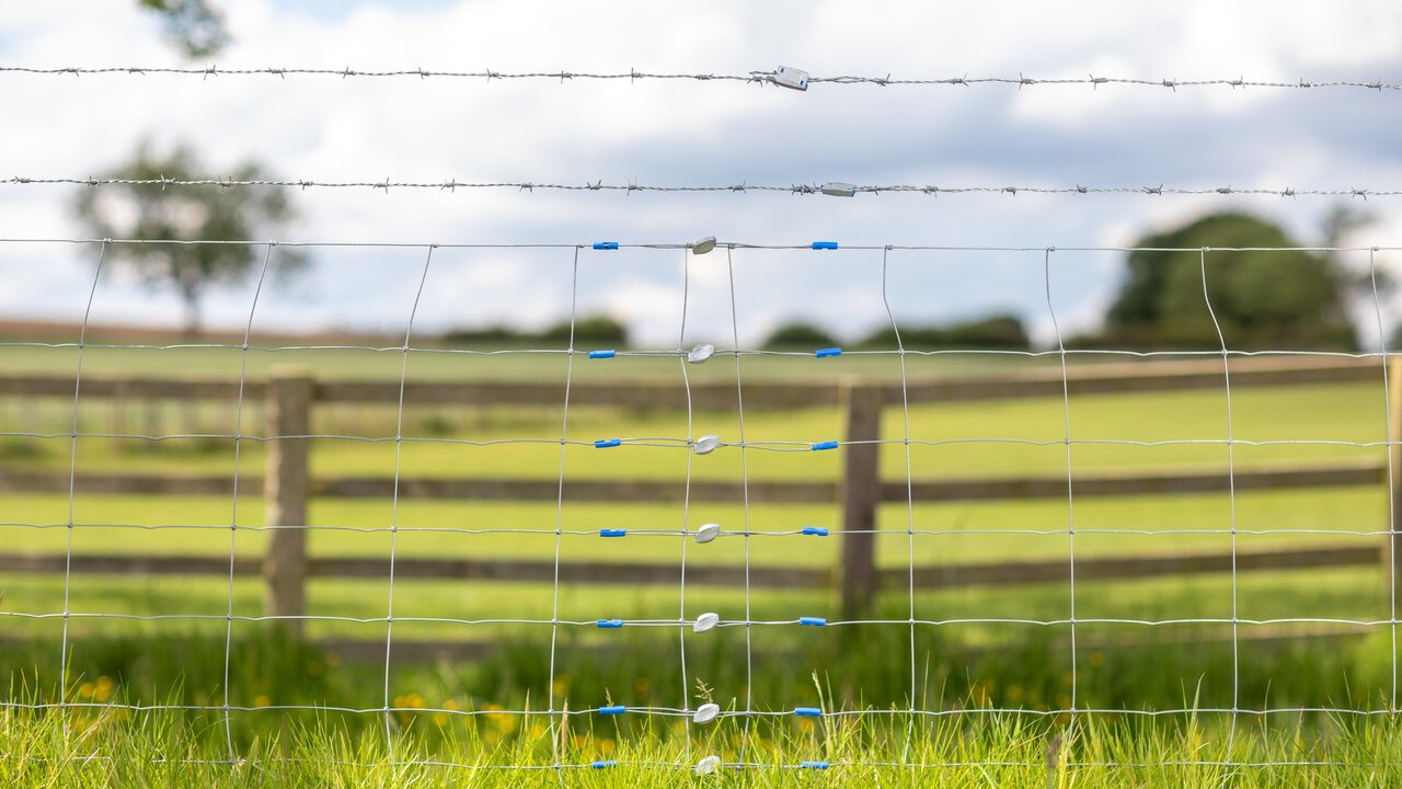 28/05/25 Lincolnshire - Gripple agricultural fencing shoot