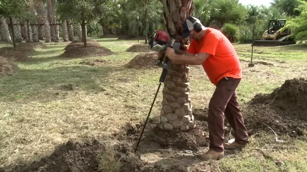 Simple Adjustment