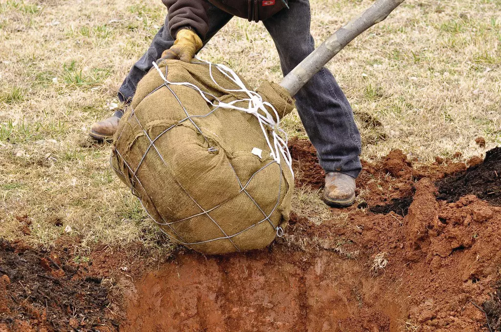 Technical Support Available 
