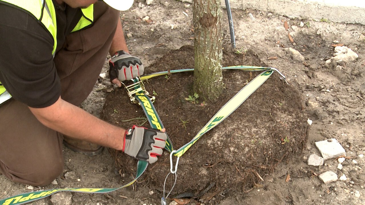 Easy and Fast Installation 
